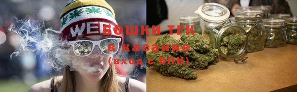 PSILOCYBIN Балабаново