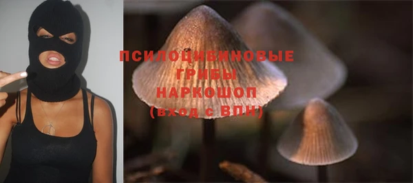 гашик Баксан