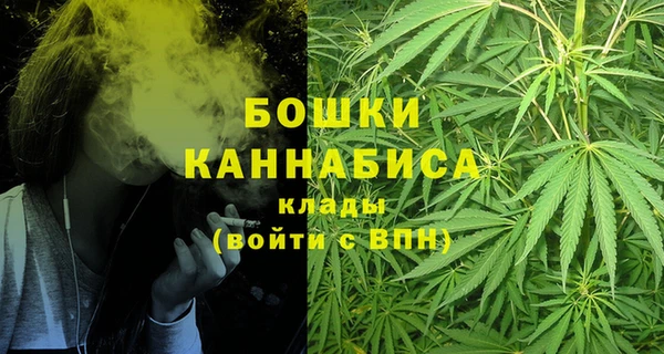 PSILOCYBIN Балабаново