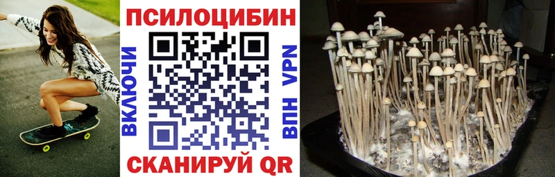 Купить  Курчатов  Галлюциногенные грибы MAGIC MUSHROOMS 